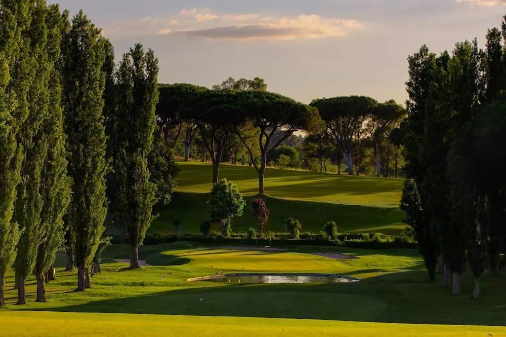 Luxury Rooftop Appia Antica Rome Apartment